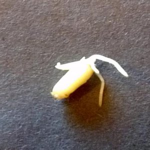 IMG 20120301 110544