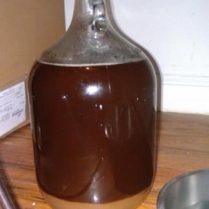 After pitching the yeast