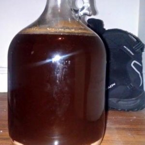 1 week of fermentation. Starting to darken up