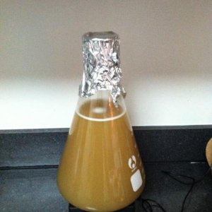 First yeast starter on my junk-2-treasure stir plate