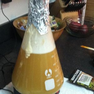 Stepping up my starter... whoa!