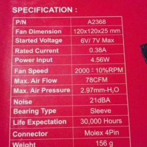 Fan