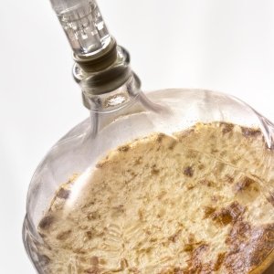 Dunkelweizen 24 hours after pitching yeast