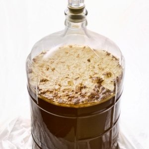 Dunkelweizen 24 hours after pitching yeast
