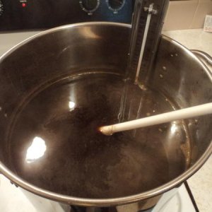 Scottish Ale brew Day