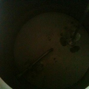 photo (7)
