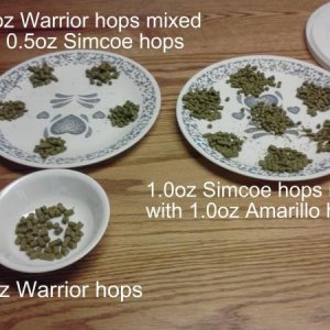 13 hop editions, similar to Dogfish Head 60 Minute IPA.