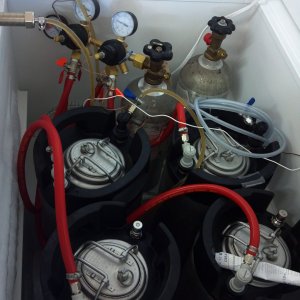 inside keezer