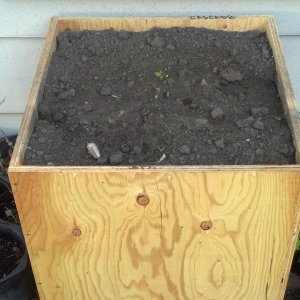Hop Box