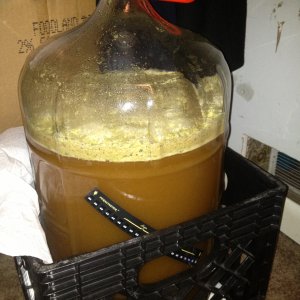 Belgian Strong Fermenting