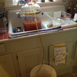 Transfering from primary to bottling bucket