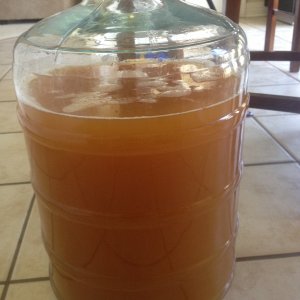 Secondary for my German alt beer