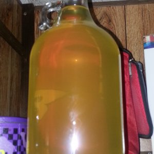 Pineapple Wine