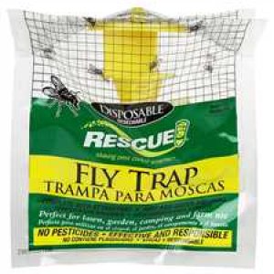 Stinky fly trap