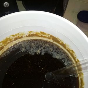 American Amber Infection?