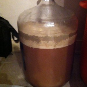 My first batch...... Love this hobby!!