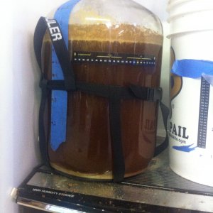 pumpkin ale fermenting