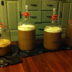 Latest Batch