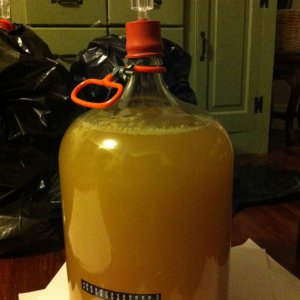 Mead Fermenting day 3 started 10 18 13