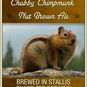 Chubby Chipmunk