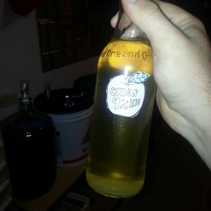 First Cider