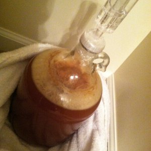 Dead Ringer IPA