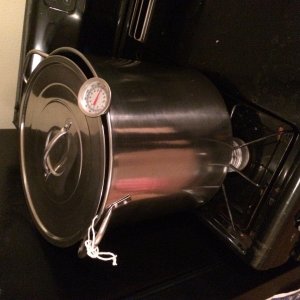Steeping away