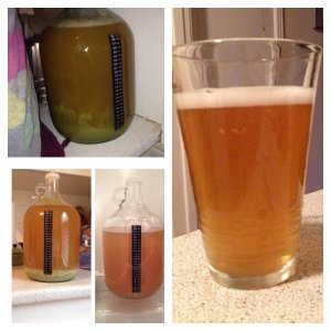 2nd all grain batch- Lager