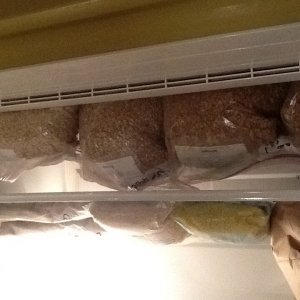 Grains for brew day