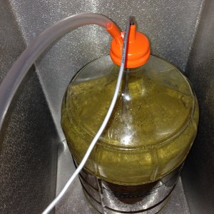 6 oz Dry Hop