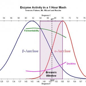 EnzymeActivity