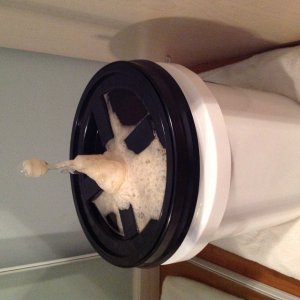 Messy fermentation