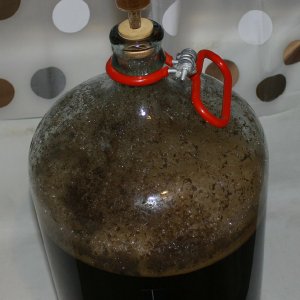 Oatmeal Stout