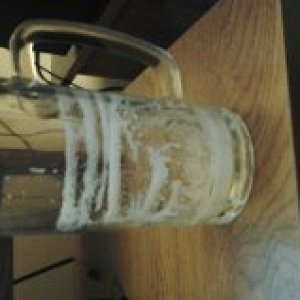 My milk stout and my American Pale Ale