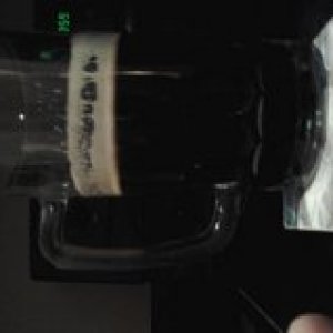 My milk stout and my American Pale Ale