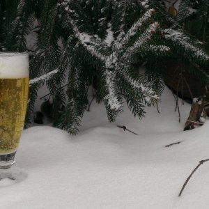 White Christmas Light Lager