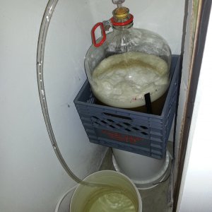 Fermentation the same day. Starter used.