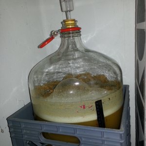 1 day after brew day. Yeast are partying!