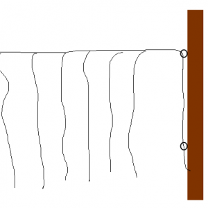 HopTrellis