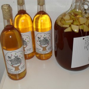 apple cyser