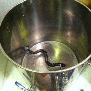 eBoil Kettle