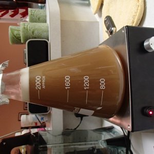 start cal ale