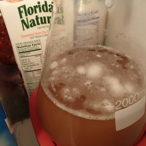 Floaties
