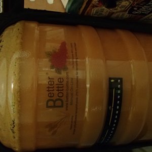 belgian ipa