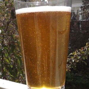 Honey Ale 5/5/2014
