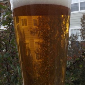 Honey Ale
