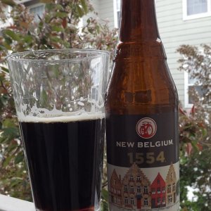 New Belgium 1554 Black Lager