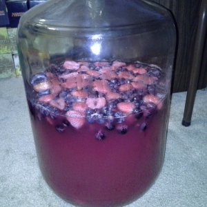 Nooby Wine - Day 4