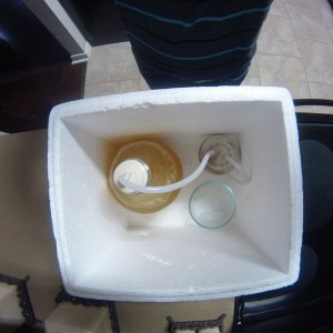 fermentation chest