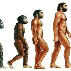 The Evolution of (Homebrew) Man